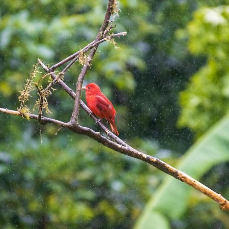 Вилла Aves De Tierras Altas Бихагуа Экстерьер фото