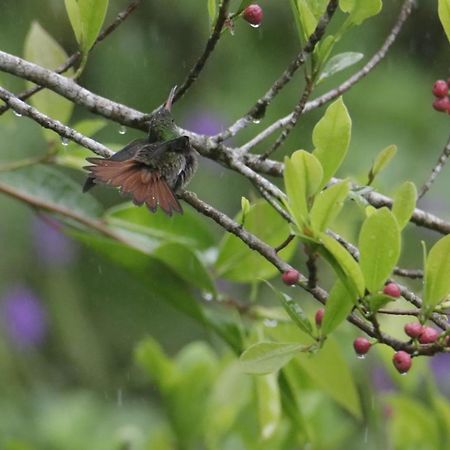 Вилла Aves De Tierras Altas Бихагуа Экстерьер фото