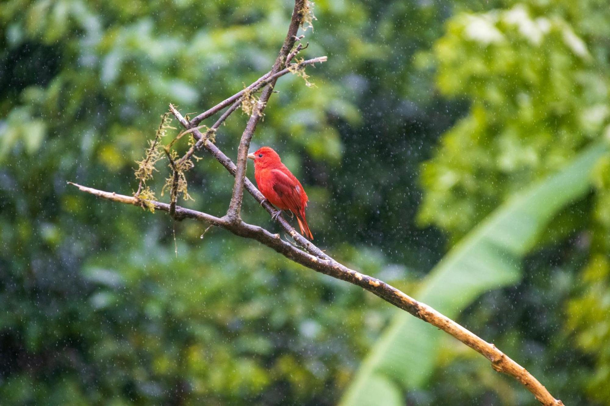 Вилла Aves De Tierras Altas Бихагуа Экстерьер фото