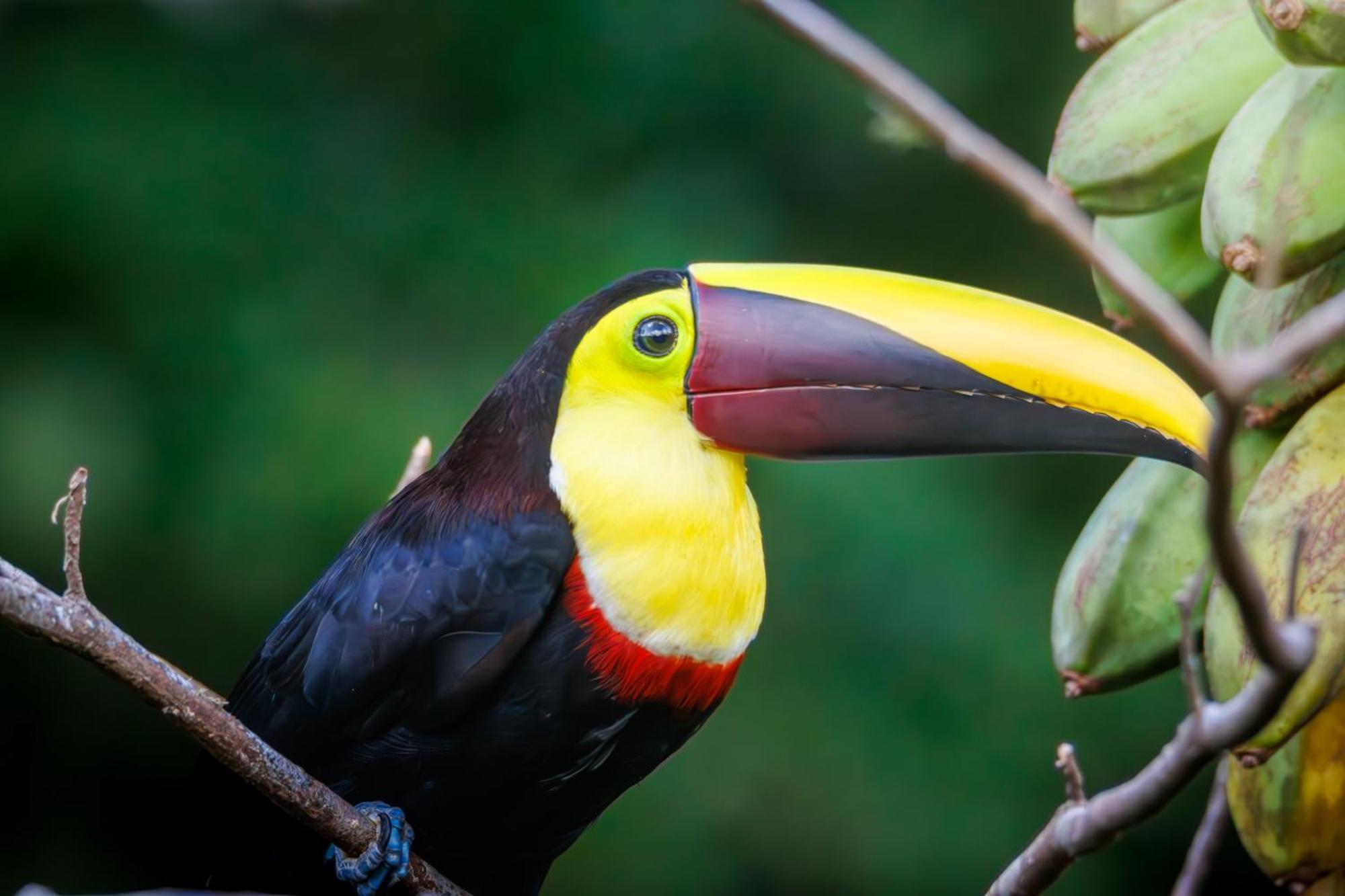 Вилла Aves De Tierras Altas Бихагуа Экстерьер фото